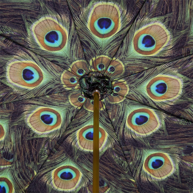 Stylish Black Double Cloth Umbrella with Peacock Interior