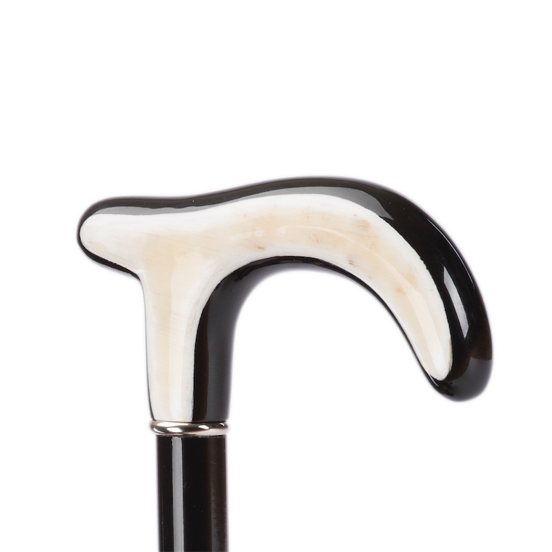 Paisley Umbrella with Genuine Water Buffalo Horn Handle