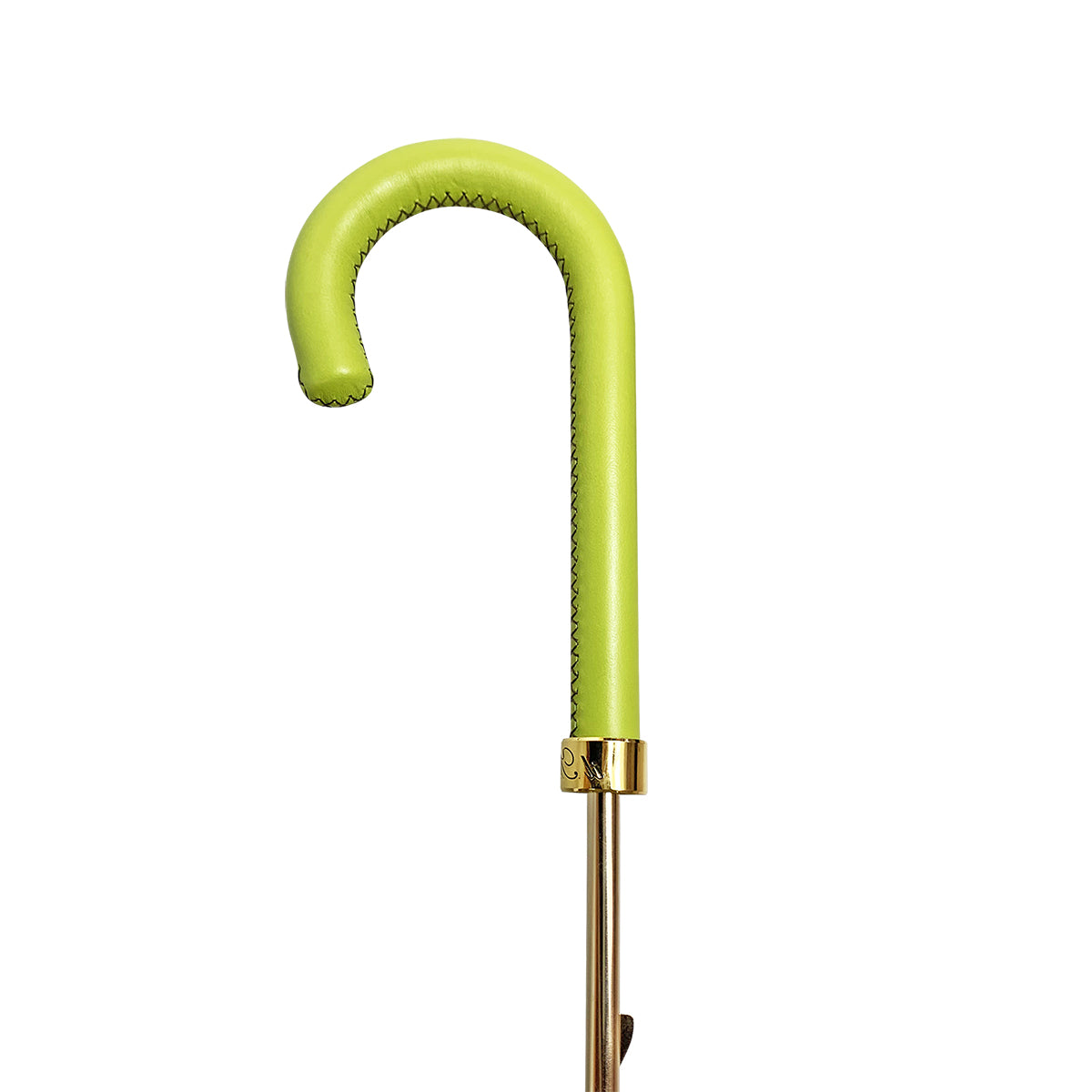 Fashionable Black Damask Umbrella with Fantastic Green Interior