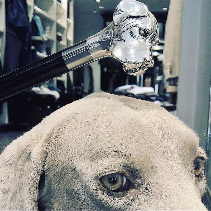 Handmade Luxury Dog-Inspired Handle Silver Labrador Shoehorn - Elegant Knives