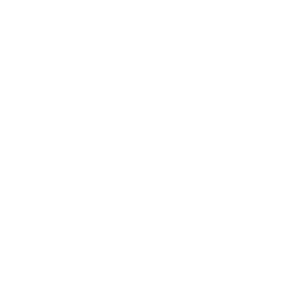 Worldwide shipping