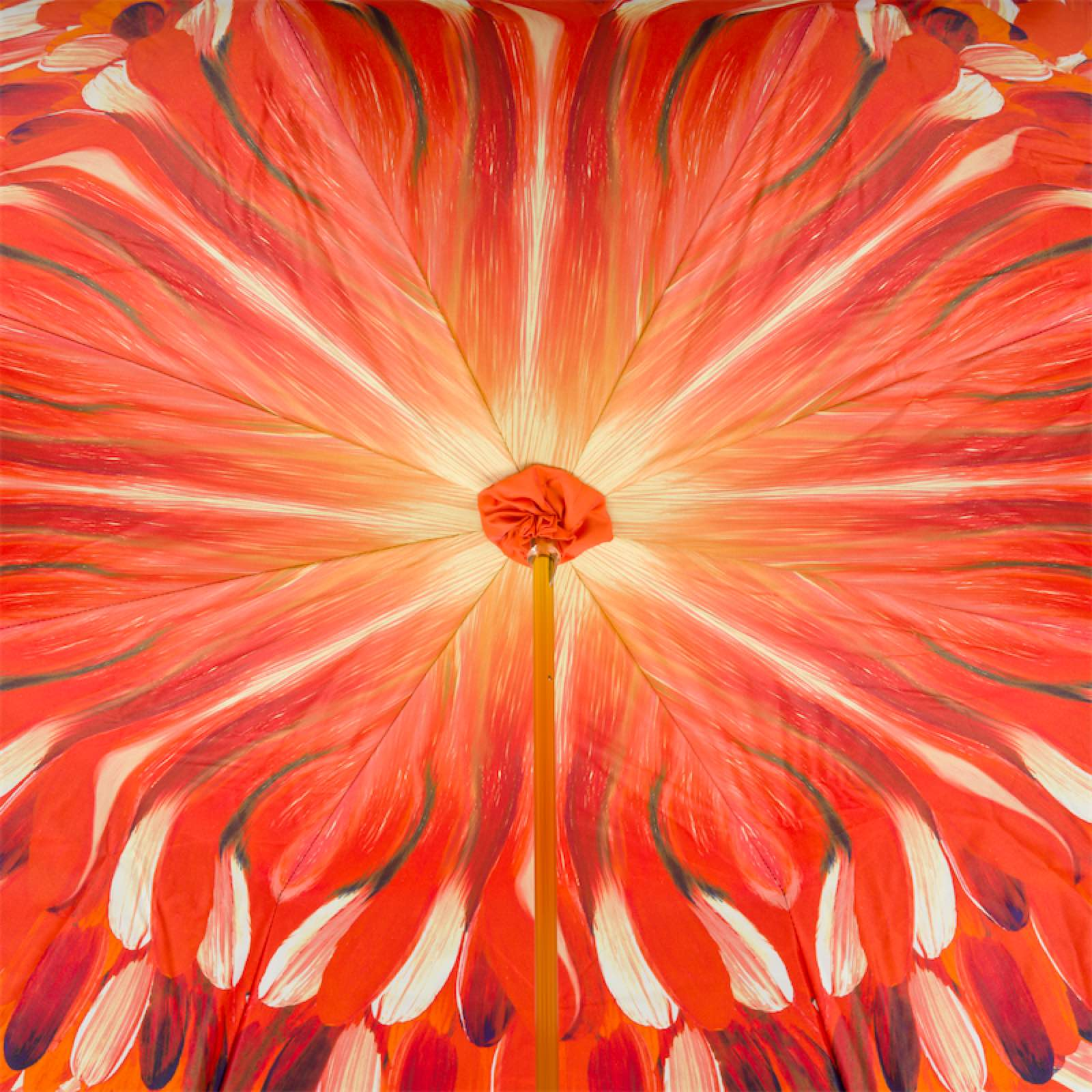 Toucan Umbrella – Manual Opening, Enameled Brass Handle