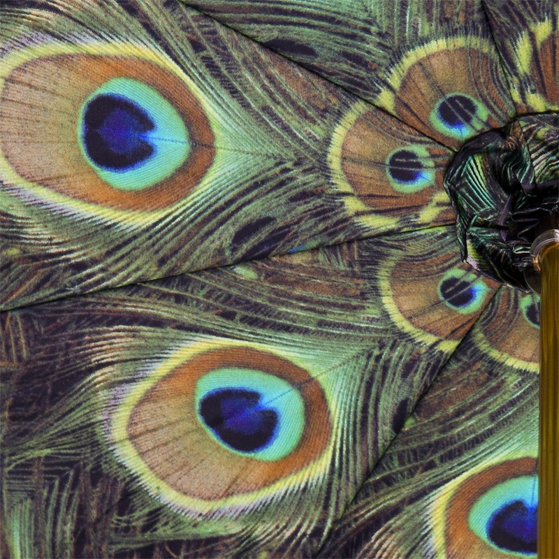 Stylish Black Double Cloth Umbrella with Peacock Interior