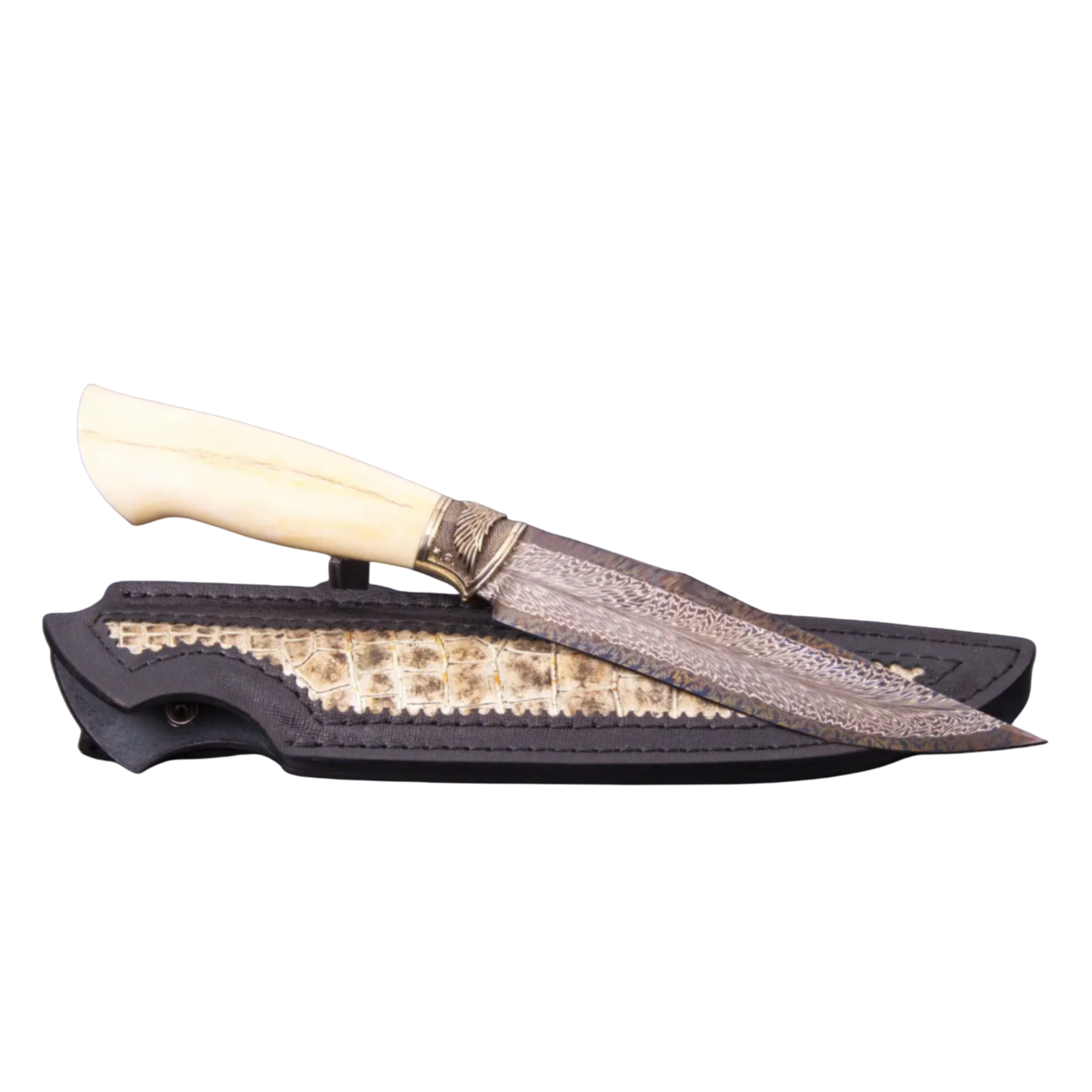 Author's Hawk-Inspired Knife: Exquisitely Crafted and Distinctive