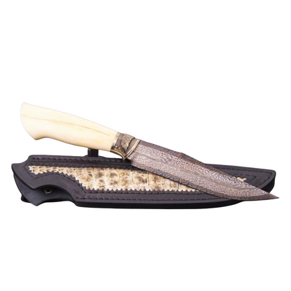 Author's Hawk-Inspired Knife: Exquisitely Crafted and Distinctive