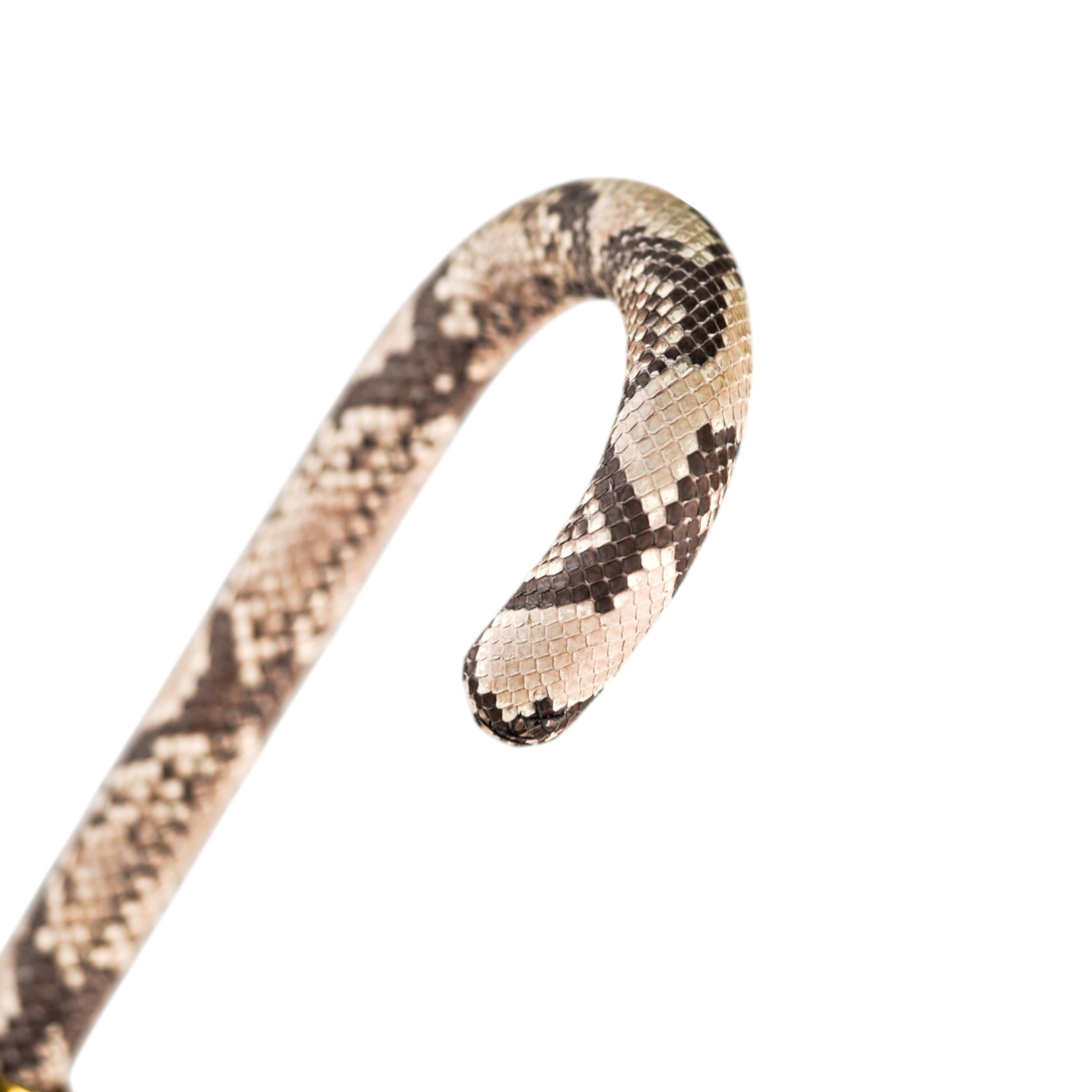 Eleganct Designer Handcrafted Python-Style Umbrella