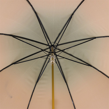 Iconic Golden Lion Gilt Resin Handle Umbrella – Automatic Opening