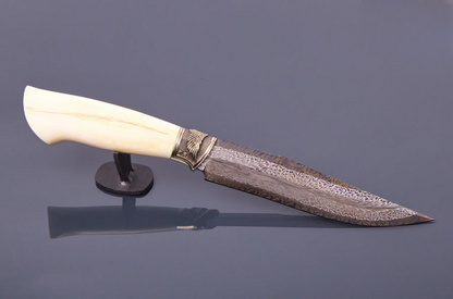 Prestigious Collector's Knife