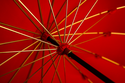 Limited Designer Red Umbrella with Jeweled Panther Handle