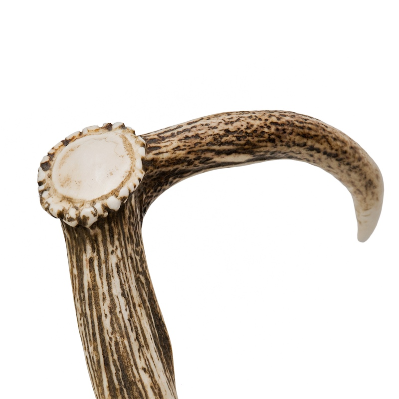 Handmade Chestnut Shaft and Horn End Luxury Deer Antler Walking Cane