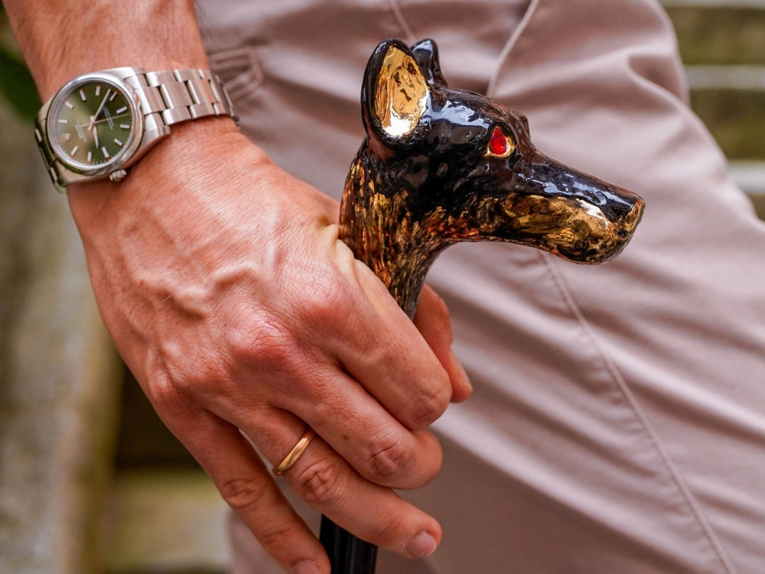 Modern fashionable walking canes