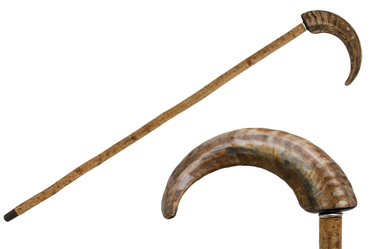 Luxury Mutton Horn Walking Cane (“Ovis Aries”) – Handmade in Italy