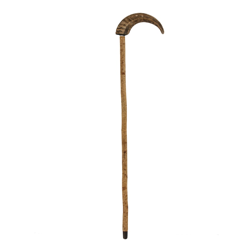 Luxury Mutton Horn Walking Cane (“Ovis Aries”) – Handmade in Italy