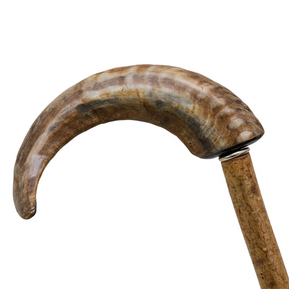 Luxury Mutton Horn Walking Cane (“Ovis Aries”) – Handmade in Italy