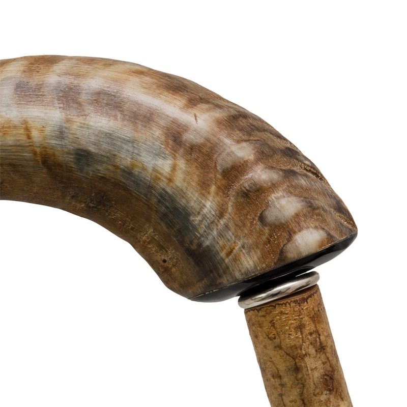 Luxury Mutton Horn Walking Cane (“Ovis Aries”) – Handmade in Italy